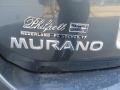 Nissan Murano LE Platinum Graphite photo #16
