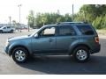 Ford Escape Limited V6 4WD Steel Blue Metallic photo #9