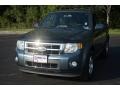 Ford Escape Limited V6 4WD Steel Blue Metallic photo #10