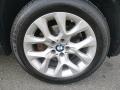 BMW X5 xDrive 35i Premium Platinum Gray Metallic photo #35