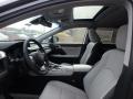Lexus RX 350 AWD Nebula Gray Pearl photo #7