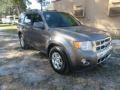 Ford Escape Limited Sterling Gray Metallic photo #4