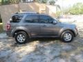 Ford Escape Limited Sterling Gray Metallic photo #6