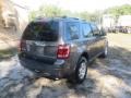 Ford Escape Limited Sterling Gray Metallic photo #11