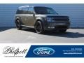 Ford Flex SEL Magnetic photo #1
