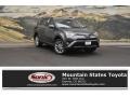 Toyota RAV4 Limited AWD Hybrid Magnetic Gray Metallic photo #1
