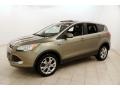 Ford Escape SEL 1.6L EcoBoost 4WD Ginger Ale Metallic photo #3