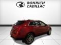 Cadillac SRX Performance AWD Crystal Red Tintcoat photo #5