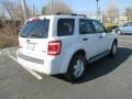 Ford Escape XLT V6 4WD White Suede photo #6