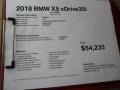BMW X5 xDrive35i Alpine White photo #12
