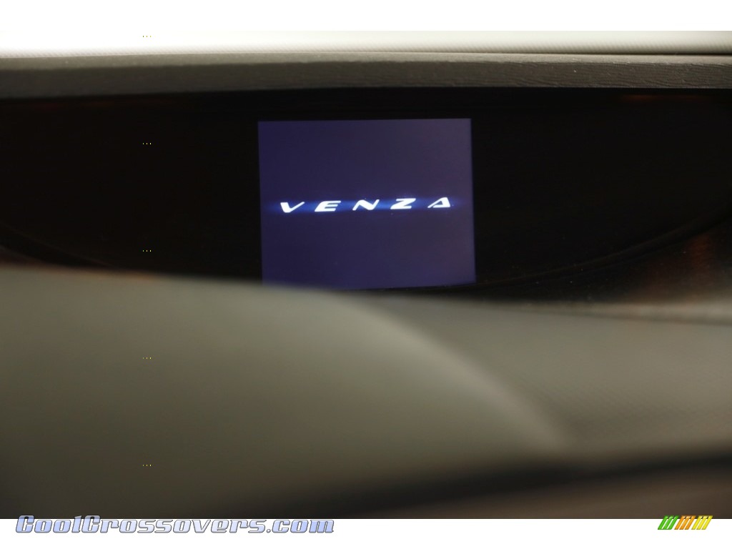 2009 Venza V6 AWD - Aloe Green Metallic / Ivory photo #10