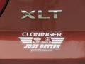Ford Explorer XLT Cinnamon Glaze photo #27