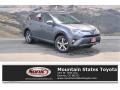 Toyota RAV4 XLE Magnetic Gray Metallic photo #1