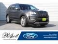Ford Explorer Limited Magnetic photo #1