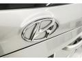 Hyundai Santa Fe GLS AWD Moonstone Silver photo #30