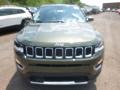 Jeep Compass Limited 4x4 Olive Green Pearl photo #8