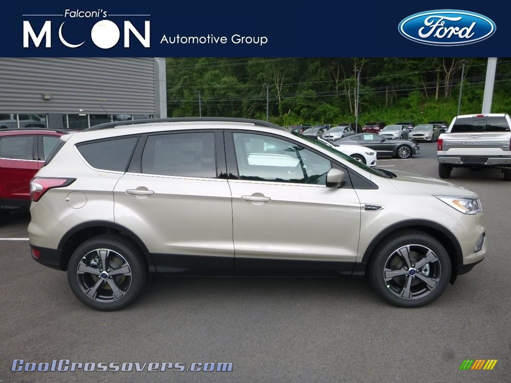 White Gold / Charcoal Black Ford Escape SEL 4WD