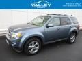 Ford Escape Limited 4WD Steel Blue Metallic photo #1