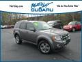 Ford Escape Limited V6 4WD Sterling Gray Metallic photo #1