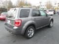 Ford Escape Limited V6 4WD Sterling Gray Metallic photo #6