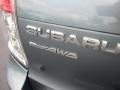 Subaru Forester 2.5 X Premium Sage Green Metallic photo #6