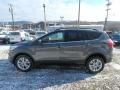 Ford Escape SEL 4WD Magnetic photo #6