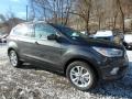 Ford Escape SEL 4WD Magnetic photo #9