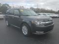 Ford Flex SEL Magnetic photo #7