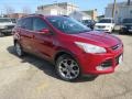 Ford Escape SEL 2.0L EcoBoost Ruby Red Metallic photo #3