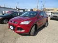 Ford Escape SEL 2.0L EcoBoost Ruby Red Metallic photo #7