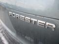 Subaru Forester 2.5 X Premium Sage Green Metallic photo #3