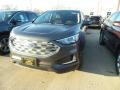 Ford Edge SEL Magnetic photo #1