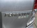Subaru Forester 2.5 X Premium Ice Silver Metallic photo #10