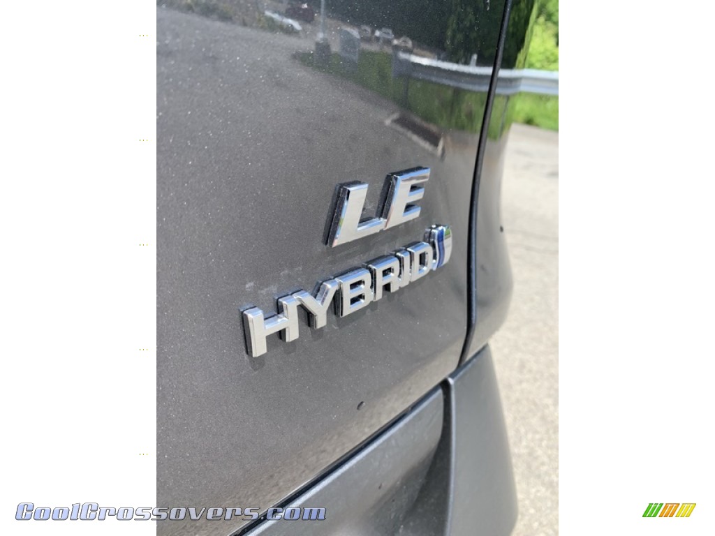 2019 RAV4 LE AWD Hybrid - Magnetic Gray Metallic / Black photo #19