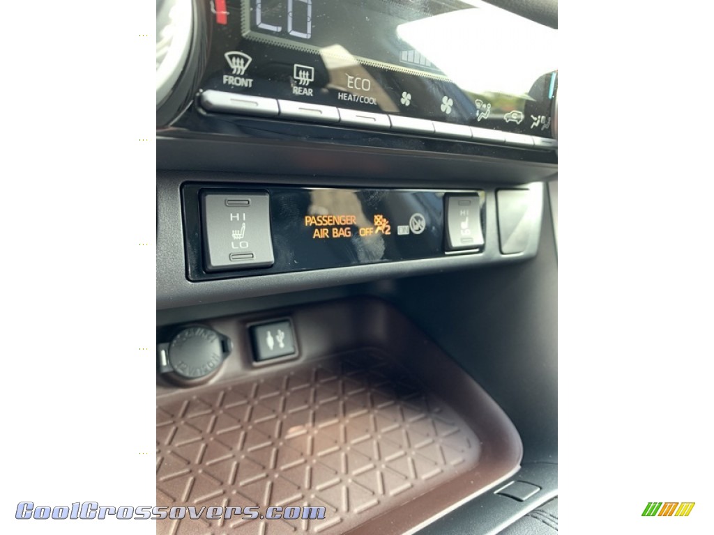 2019 RAV4 Limited AWD Hybrid - Magnetic Gray Metallic / Black photo #43