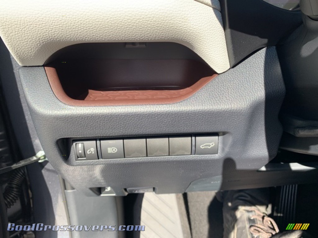 2019 RAV4 Limited AWD Hybrid - Magnetic Gray Metallic / Black photo #32