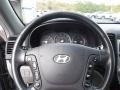 Hyundai Santa Fe GLS 4WD Slate Blue photo #19