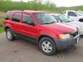 Ford Escape XLT V6 4WD Bright Red photo #2