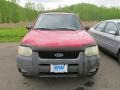 Ford Escape XLT V6 4WD Bright Red photo #4