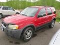 Ford Escape XLT V6 4WD Bright Red photo #5