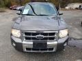 Ford Escape Limited 4WD Sterling Gray Metallic photo #2