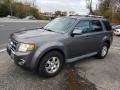 Ford Escape Limited 4WD Sterling Gray Metallic photo #3