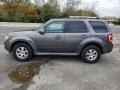 Ford Escape Limited 4WD Sterling Gray Metallic photo #4