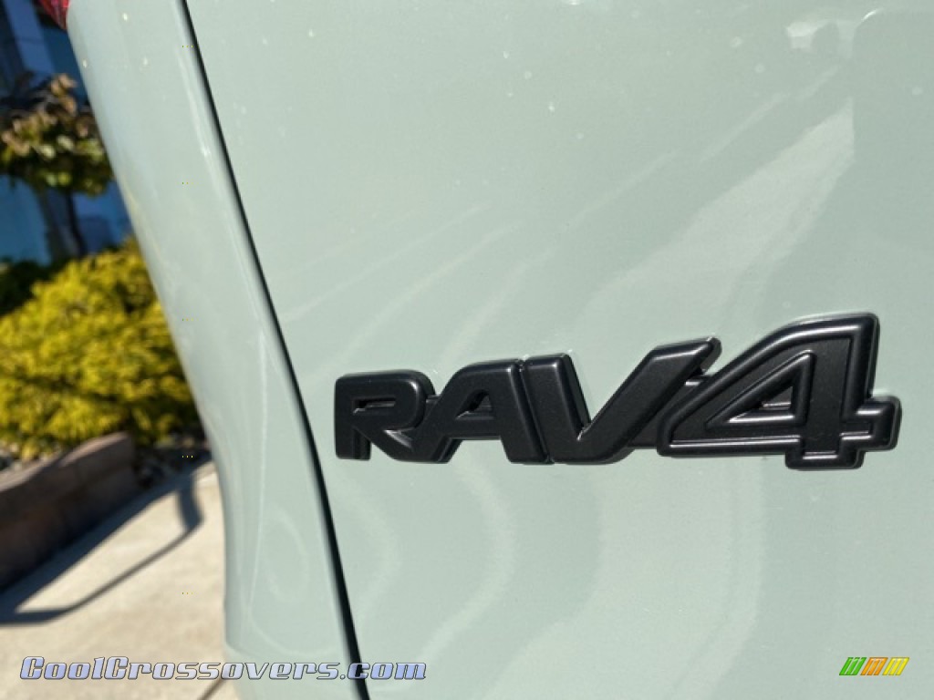 2021 RAV4 XLE Premium AWD - Lunar Rock / Nutmeg photo #32