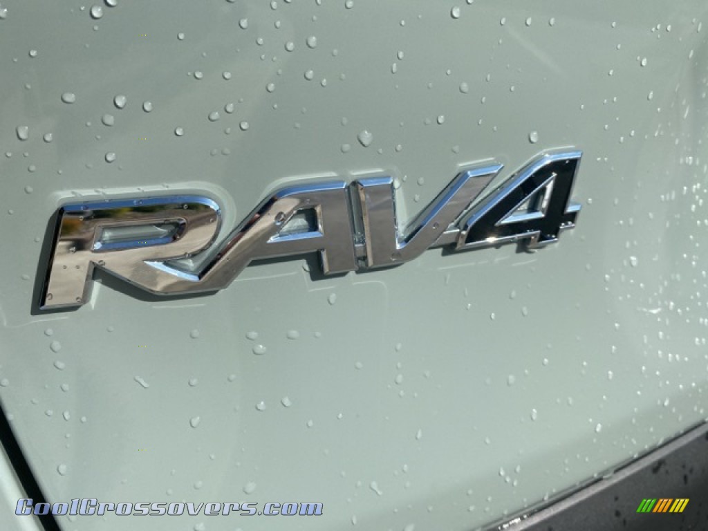 2021 RAV4 XLE Premium AWD - Lunar Rock / Light Gray photo #16