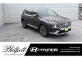 Hyundai Santa Fe Limited Portofino Gray photo #1