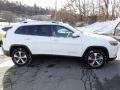 Jeep Cherokee Limited 4x4 Bright White photo #7