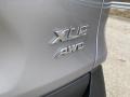 Toyota RAV4 XLE Premium AWD Silver Sky Metallic photo #23