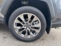 Toyota RAV4 XLE Premium AWD Magnetic Gray Metallic photo #33