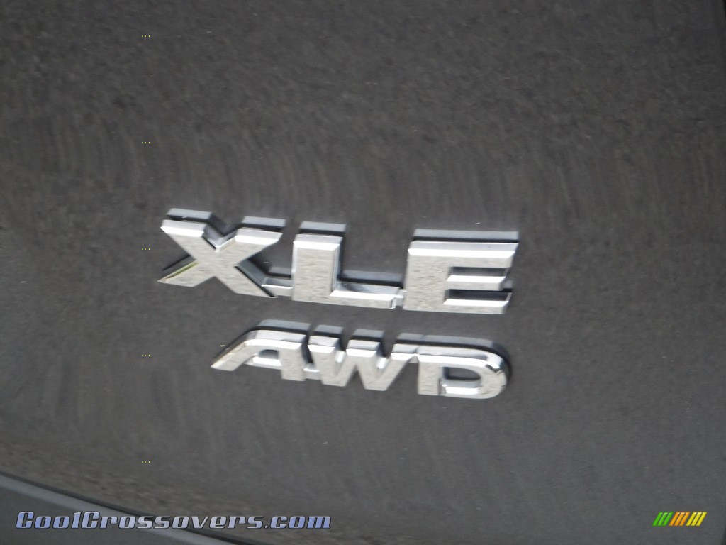 2020 RAV4 XLE Premium AWD - Magnetic Gray Metallic / Black photo #17